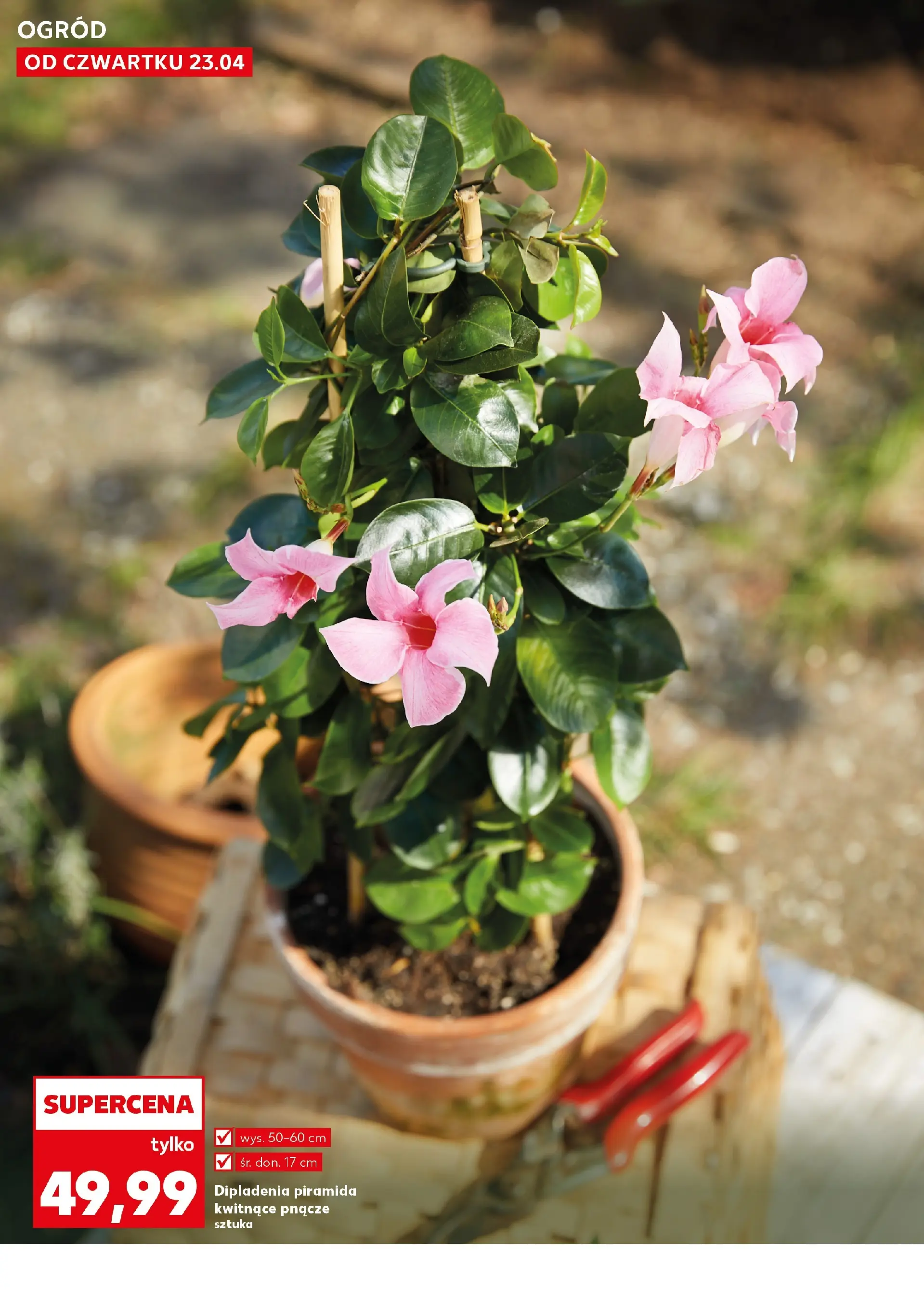 Kaufland gazetka - Ogród od 23.04.2026 - od jutra PDF | Strona: 10