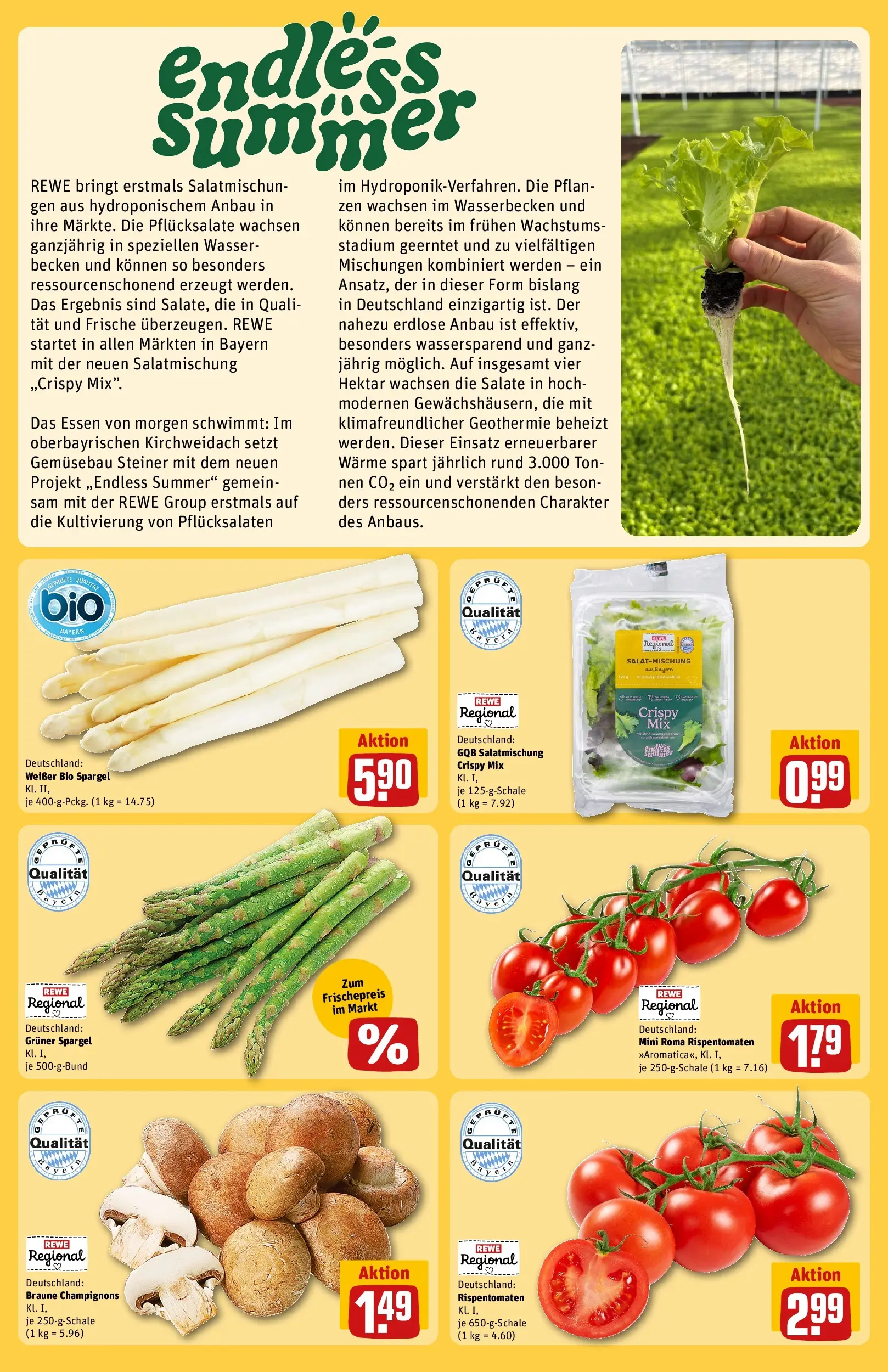 REWE Prospekt ab 27.04.2026 zum Blättern » Angebote | Seite: 20 | Produkte: Spargel, Champignons, Wasser