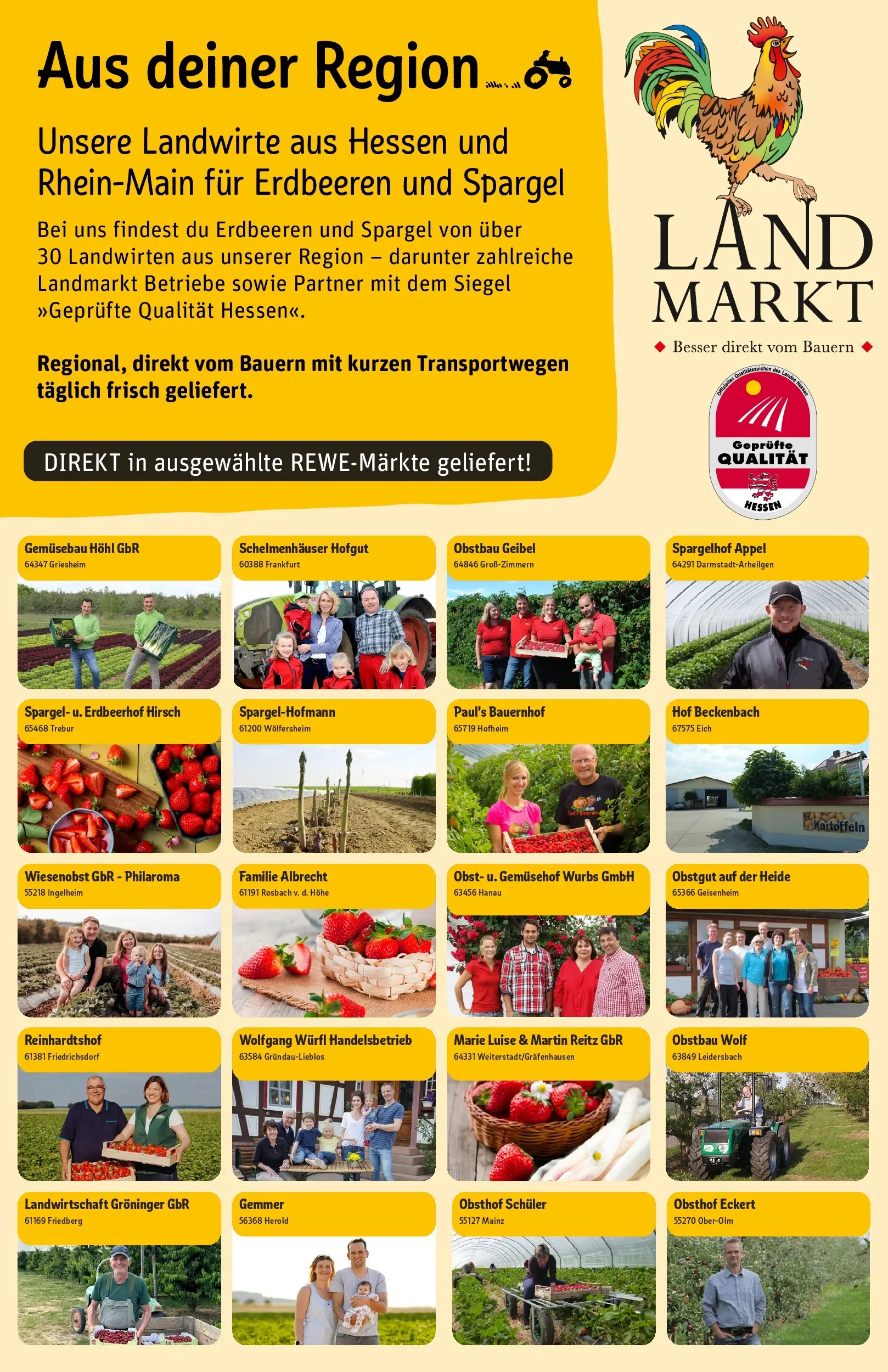 REWE Prospekt ab 27.04.2026 zum Blättern » Angebote | Seite: 24 | Produkte: Spargel, Kartoffeln, Obst, Erdbeeren