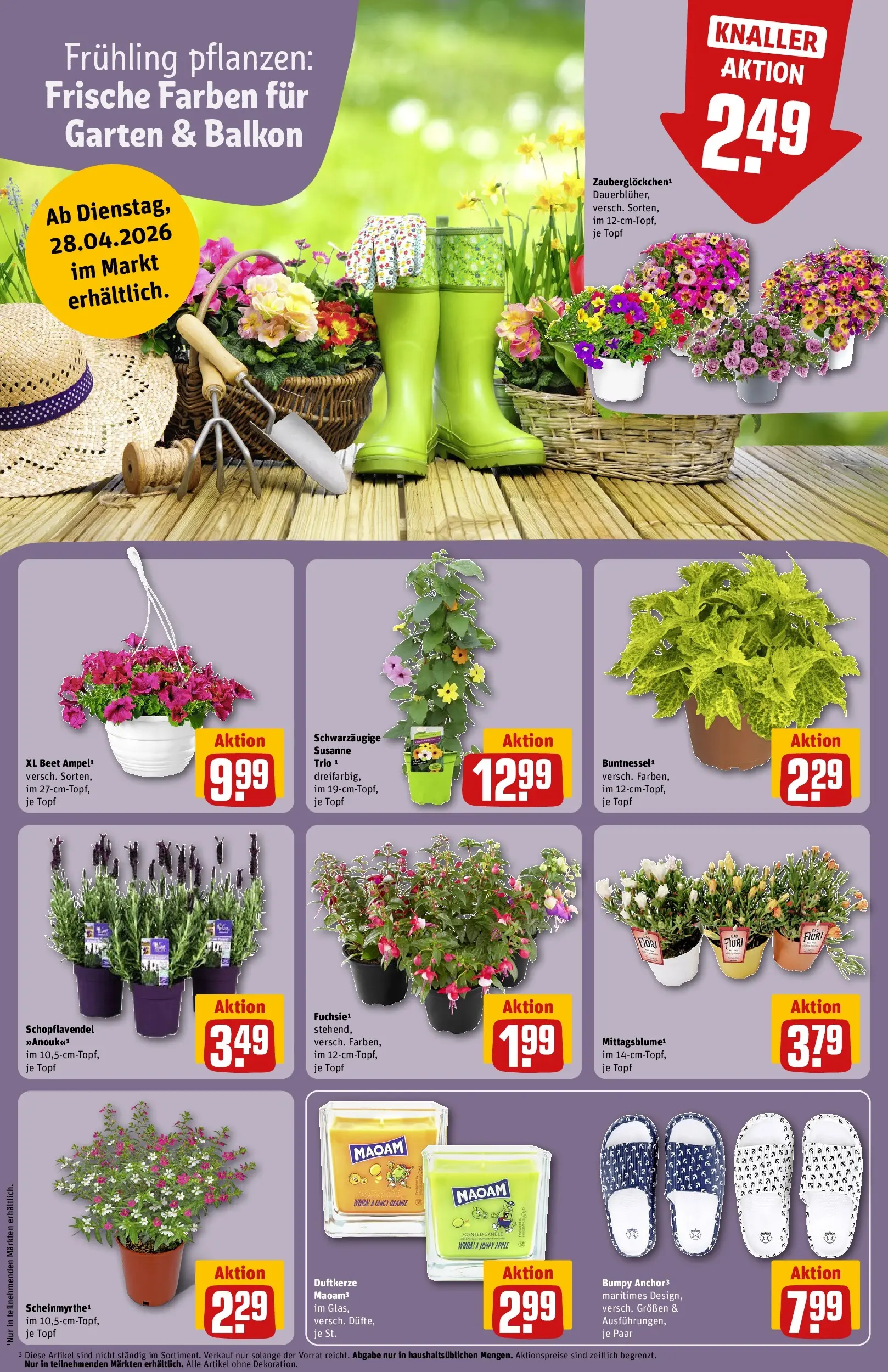 REWE Prospekt ab 27.04.2026 zum Blättern » Angebote | Seite: 9 | Produkte: Apple