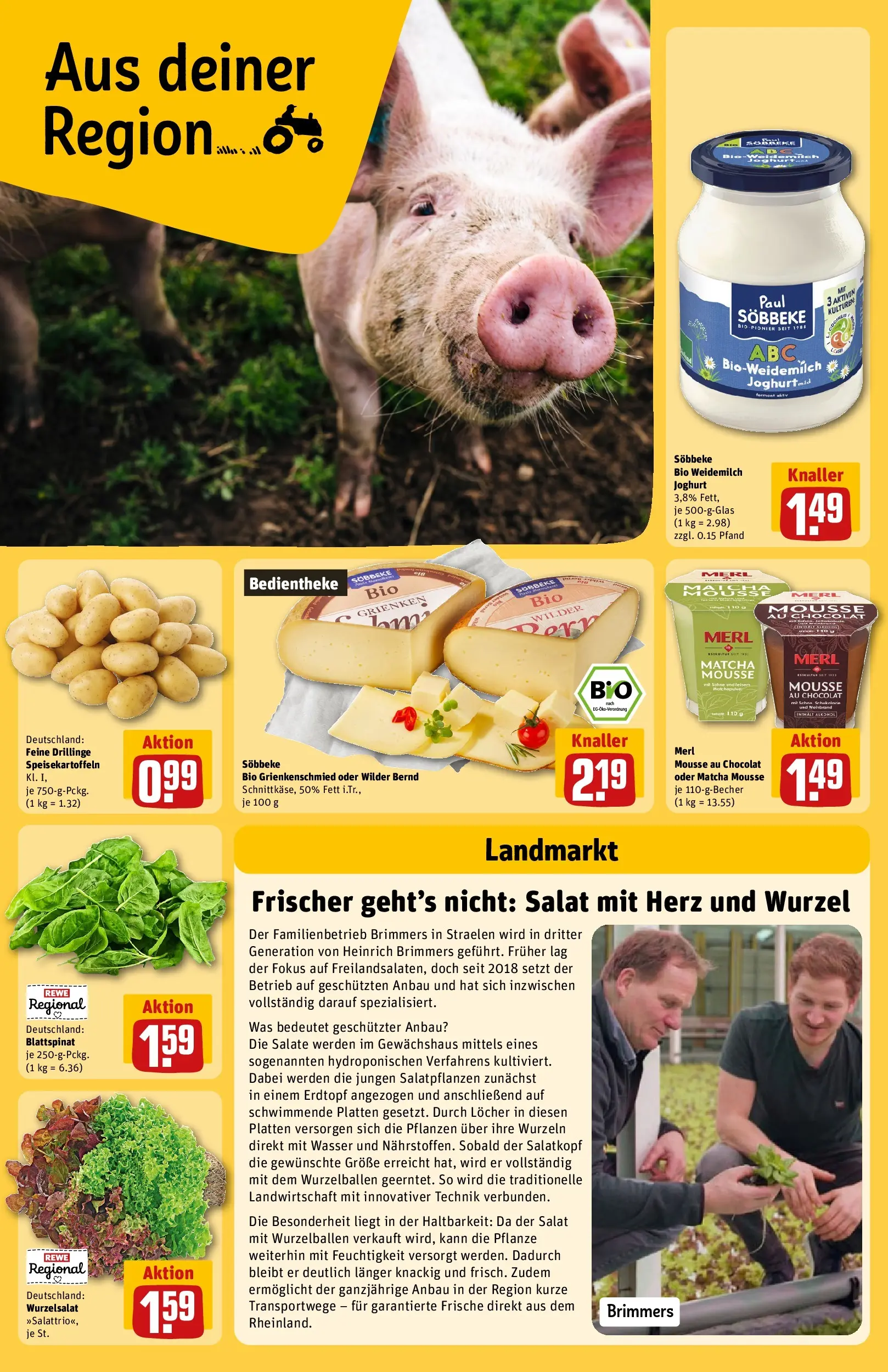 REWE Prospekt ab 27.04.2026 zum Blättern » Angebote | Seite: 24 | Produkte: Joghurt, Wasser, Salat