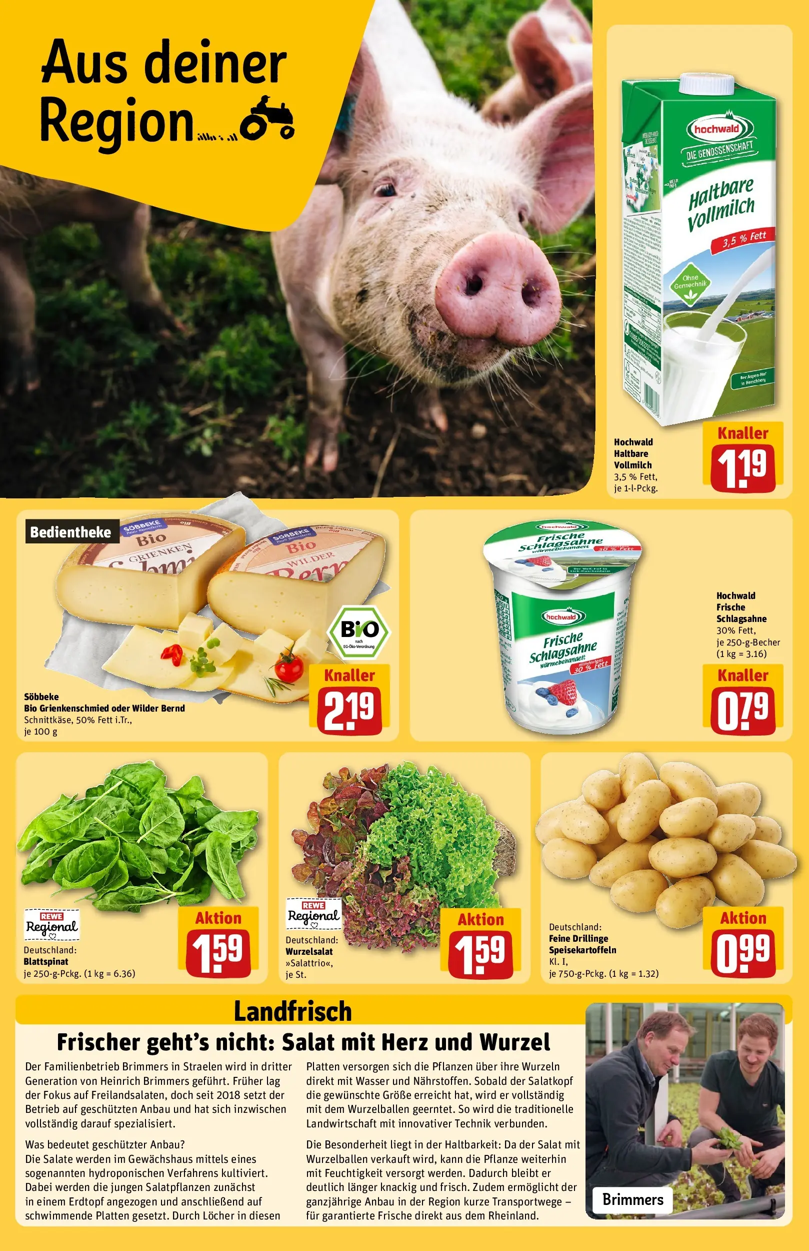 REWE Prospekt ab 27.04.2026 zum Blättern » Angebote | Seite: 24 | Produkte: Schlagsahne, Wasser, Salat