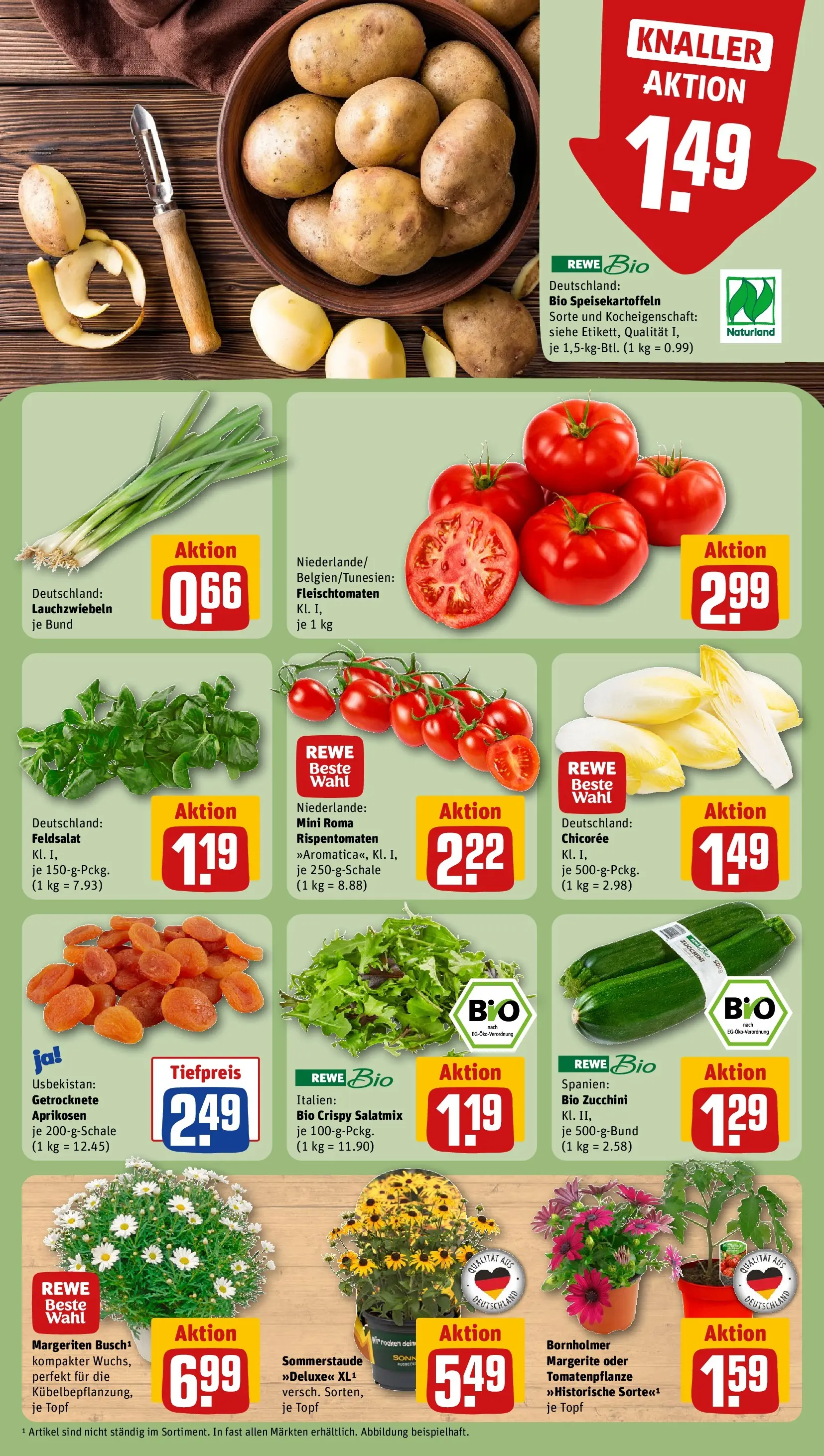 REWE Prospekt ab 27.04.2026 zum Blättern » Angebote | Seite: 7 | Produkte: Zucchini