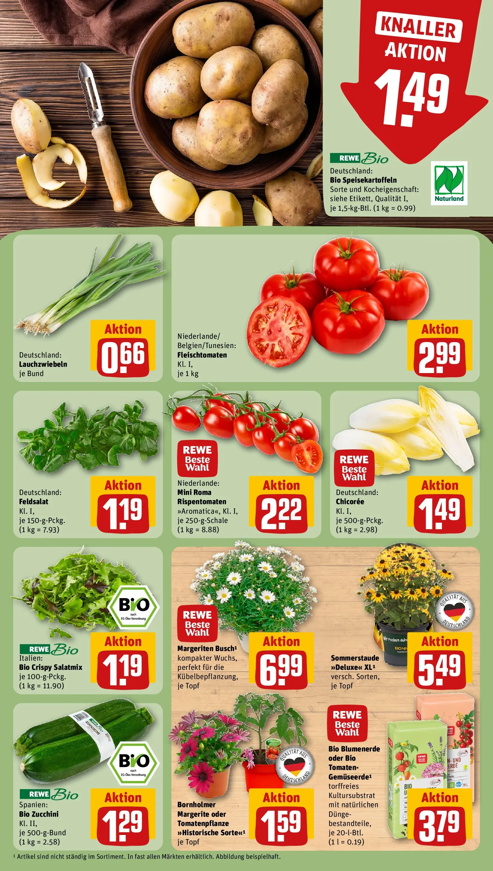 REWE Prospekt ab 26.04.2026 zum Blättern » Angebote | Seite: 7