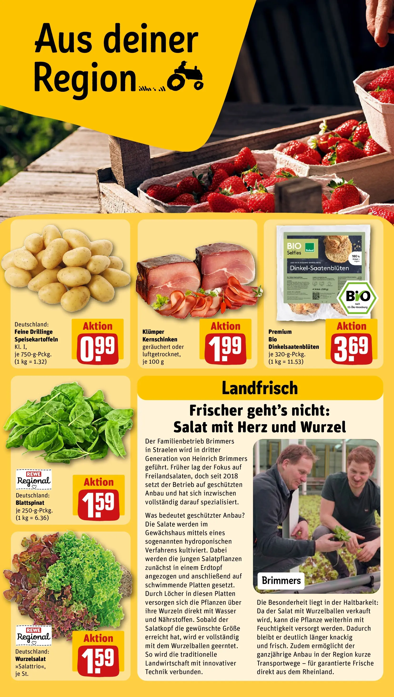 REWE Prospekt ab 27.04.2026 zum Blättern » Angebote | Seite: 24 | Produkte: Wasser, Salat