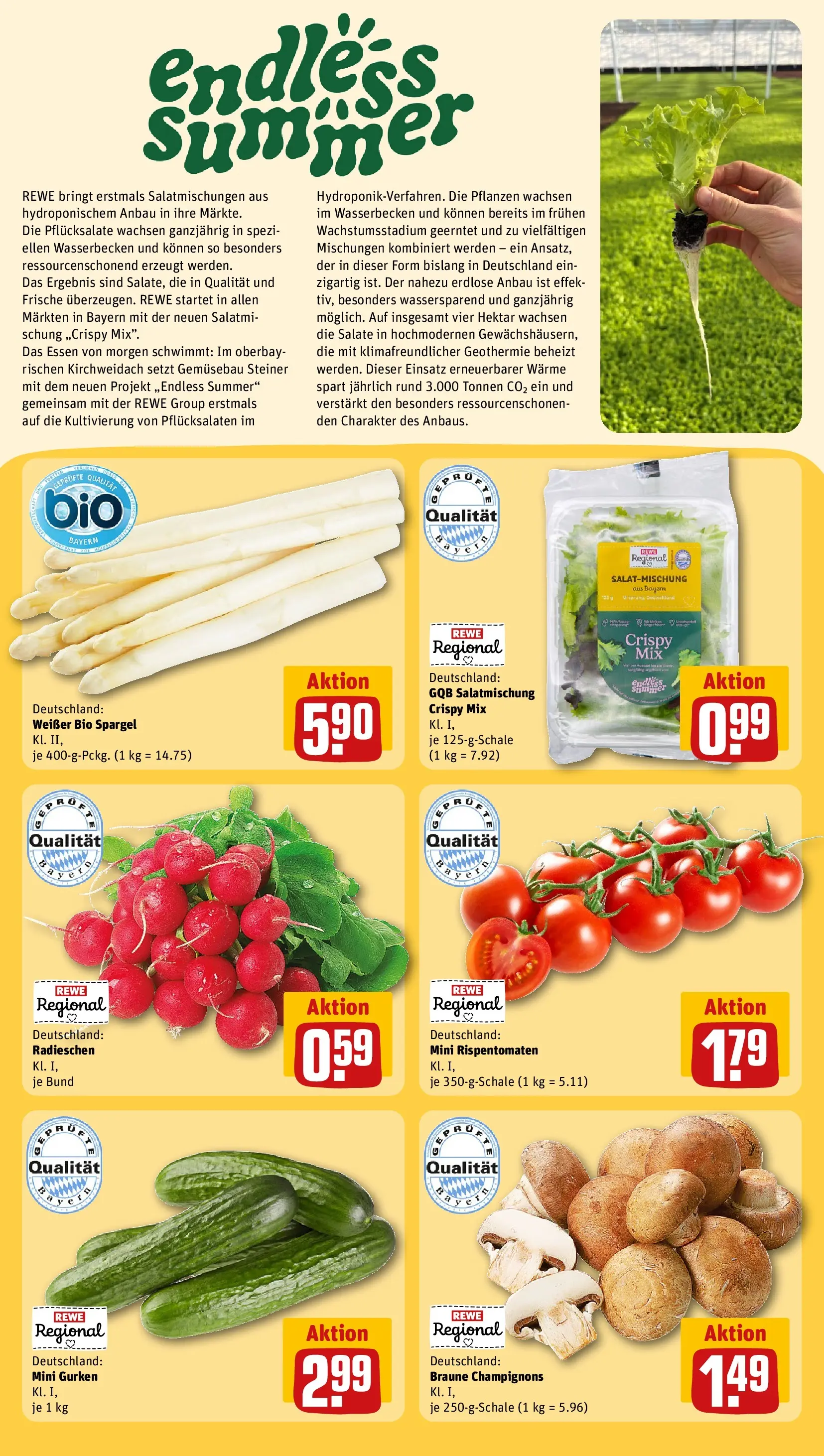 REWE Prospekt ab 27.04.2026 zum Blättern » Angebote | Seite: 20 | Produkte: Spargel, Champignons, Gurken