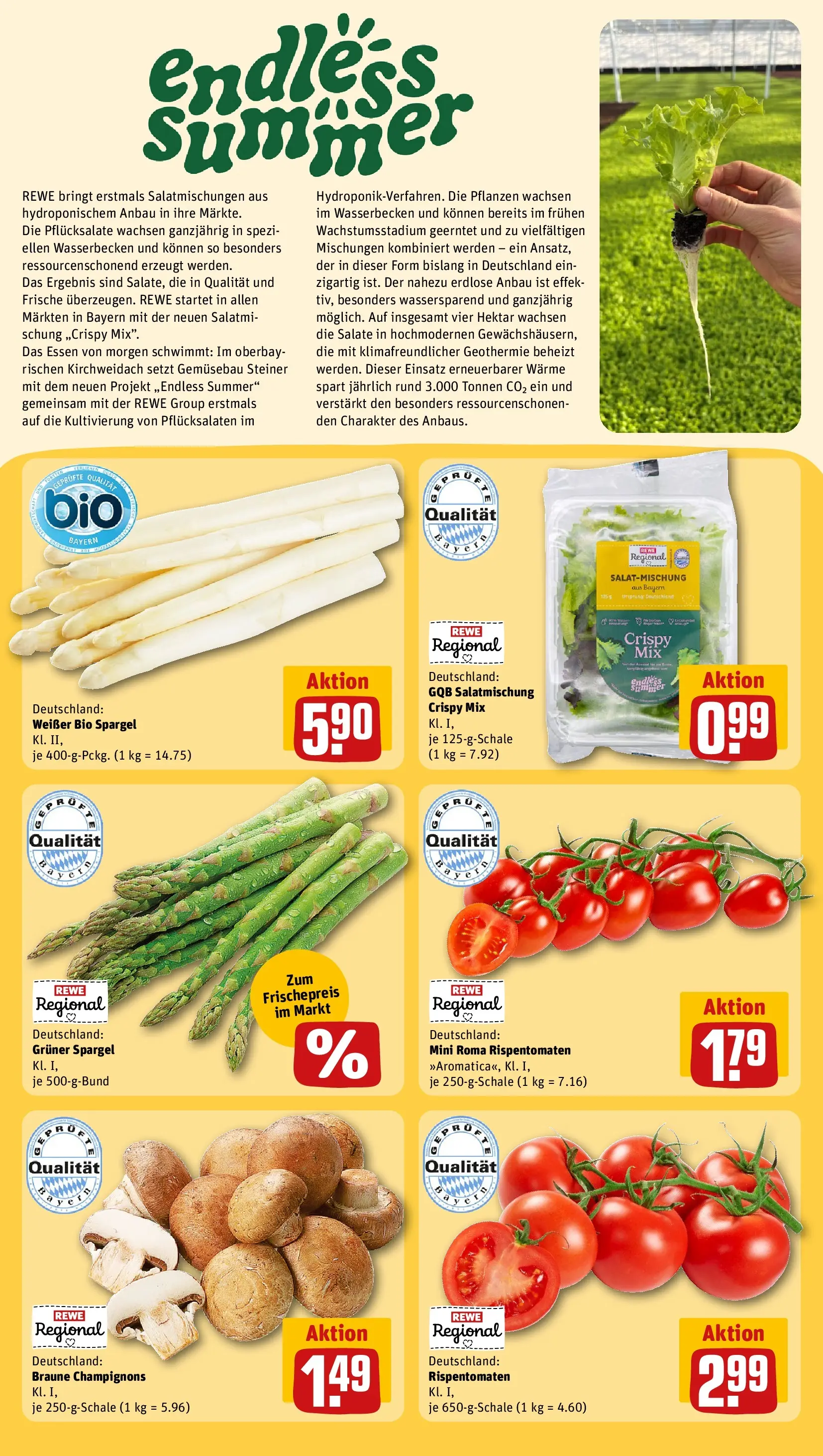 REWE Prospekt ab 27.04.2026 zum Blättern » Angebote | Seite: 18 | Produkte: Spargel, Champignons