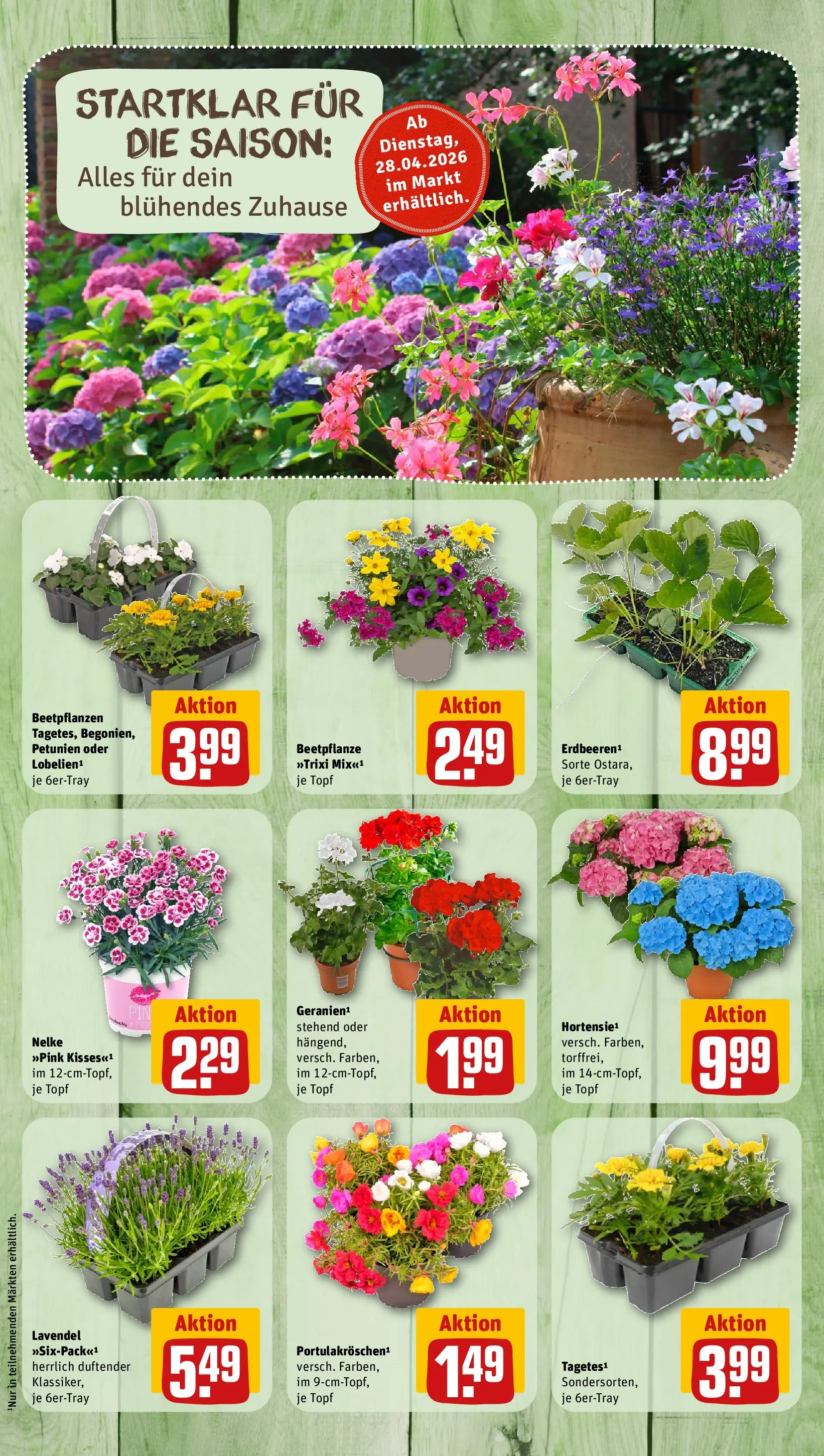 REWE Prospekt ab 27.04.2026 zum Blättern » Angebote | Seite: 8 | Produkte: Lavendel