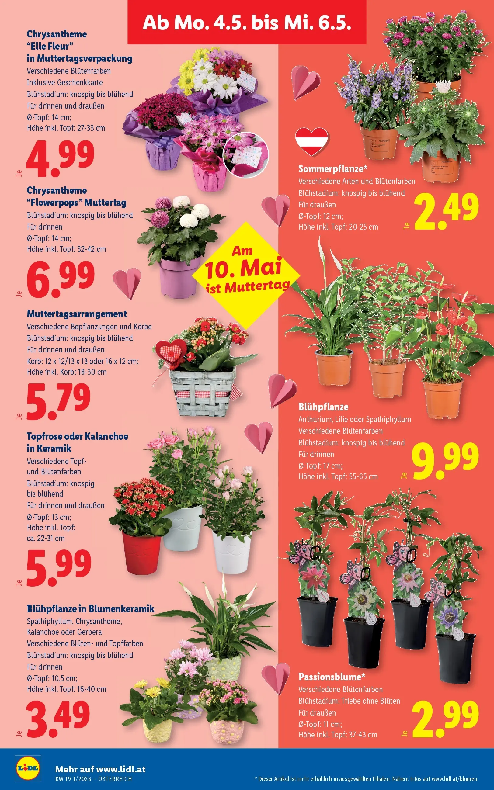 Lidl - Lidl ab 29.04.2026 - Angebote ab donnerstag | Seite: 29 | Produkte: Korb