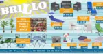 Brillo Offerte - al 23.05.2026