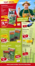 Sonderpreis Baumarkt: Aktuelle Angebote