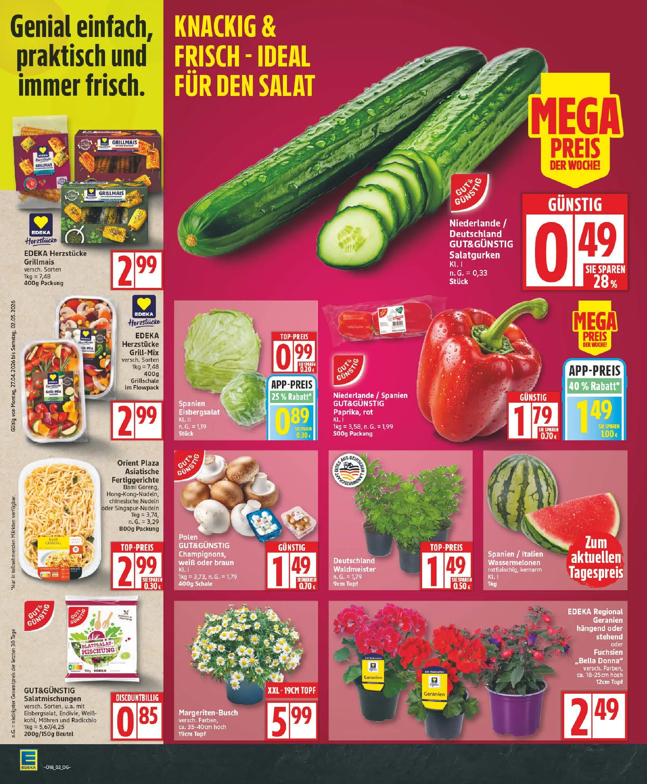 Edeka prospekt Zossen	 (ab 27.04.2026) » Angebote Online | Seite: 2 | Produkte: Geranien, Saft, Nudeln, Salat