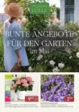 Pflanzen-K&ouml;lle: Bunte Angebote f&uuml;r den Garten