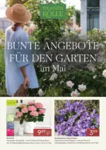 Pflanzen-K&ouml;lle Pflanzen-K&ouml;lle: Bunte Angebote f&uuml;r den Garten - ab 02.05.2026
