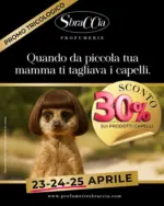 Profumerie Sbraccia Sconto 30% - al 25.04.2026