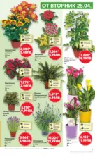 Kaufland хипермаркет MEGA изгодни цени в Kaufland с валидност до 03.05.2026 - до 03-05-26