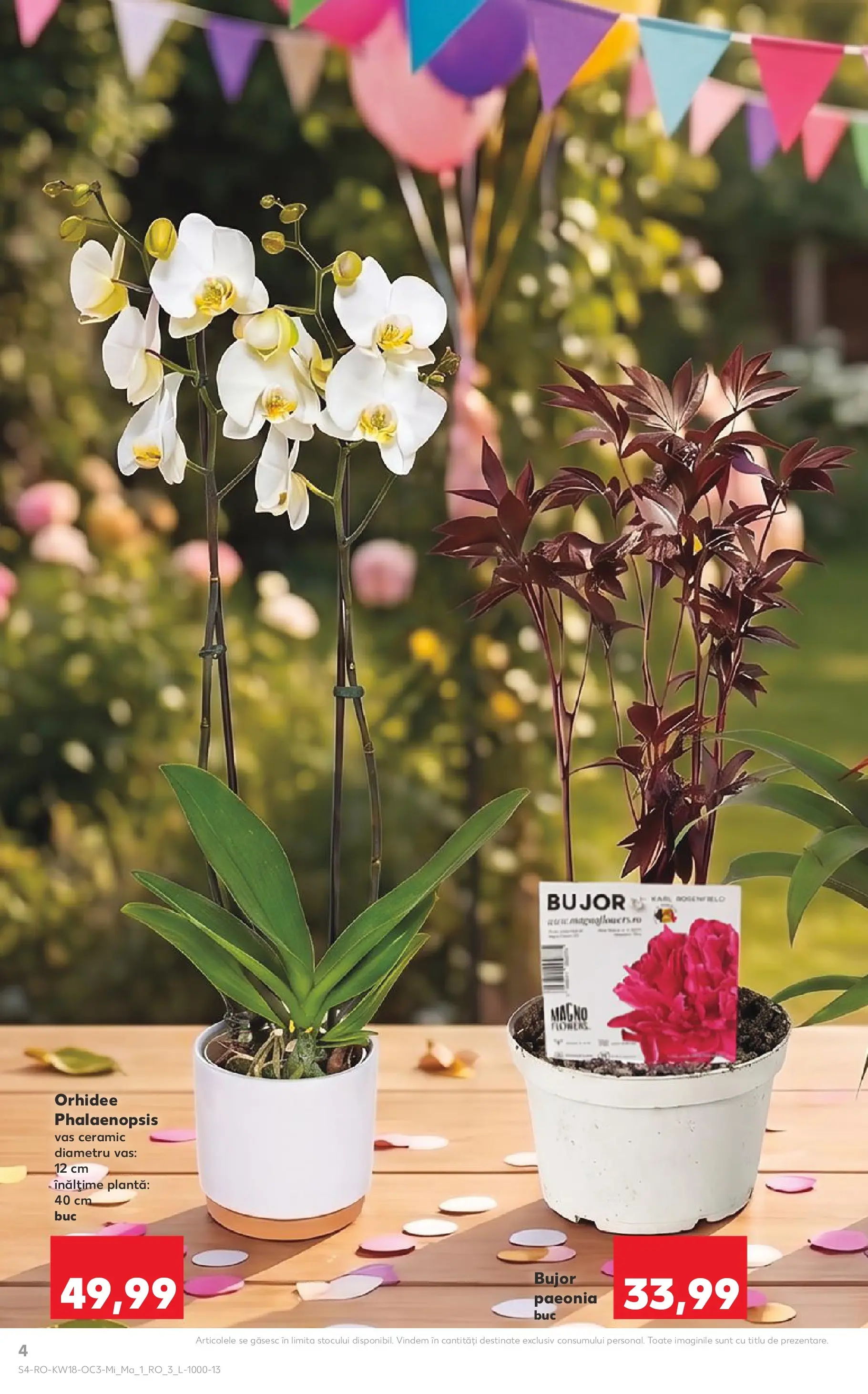 Kaufland Târgu Mureș 29.04.2026 - Revista si Oferta | Pagină: 4 | Produse: Orhidee