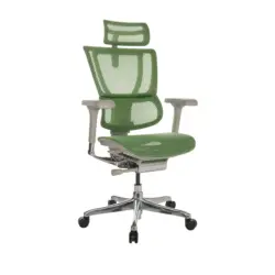 Drehstuhl Ergohuman Slim Gr&uuml;n ca. 6x116-138x66cm