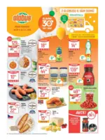 Globus Globus 18 26 L1 &ndash; do 05.05.2026