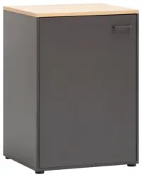 Mehrzweckschrank Solea Anthrazit/Eiche