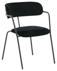 Stuhl-Set Arrow 2er-Set ca. 58x79 cm Samt Schwarz