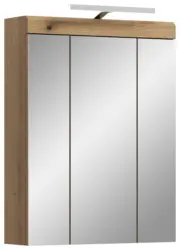 Spiegelschrank Scout mit LED ca. 60x79x18 cm