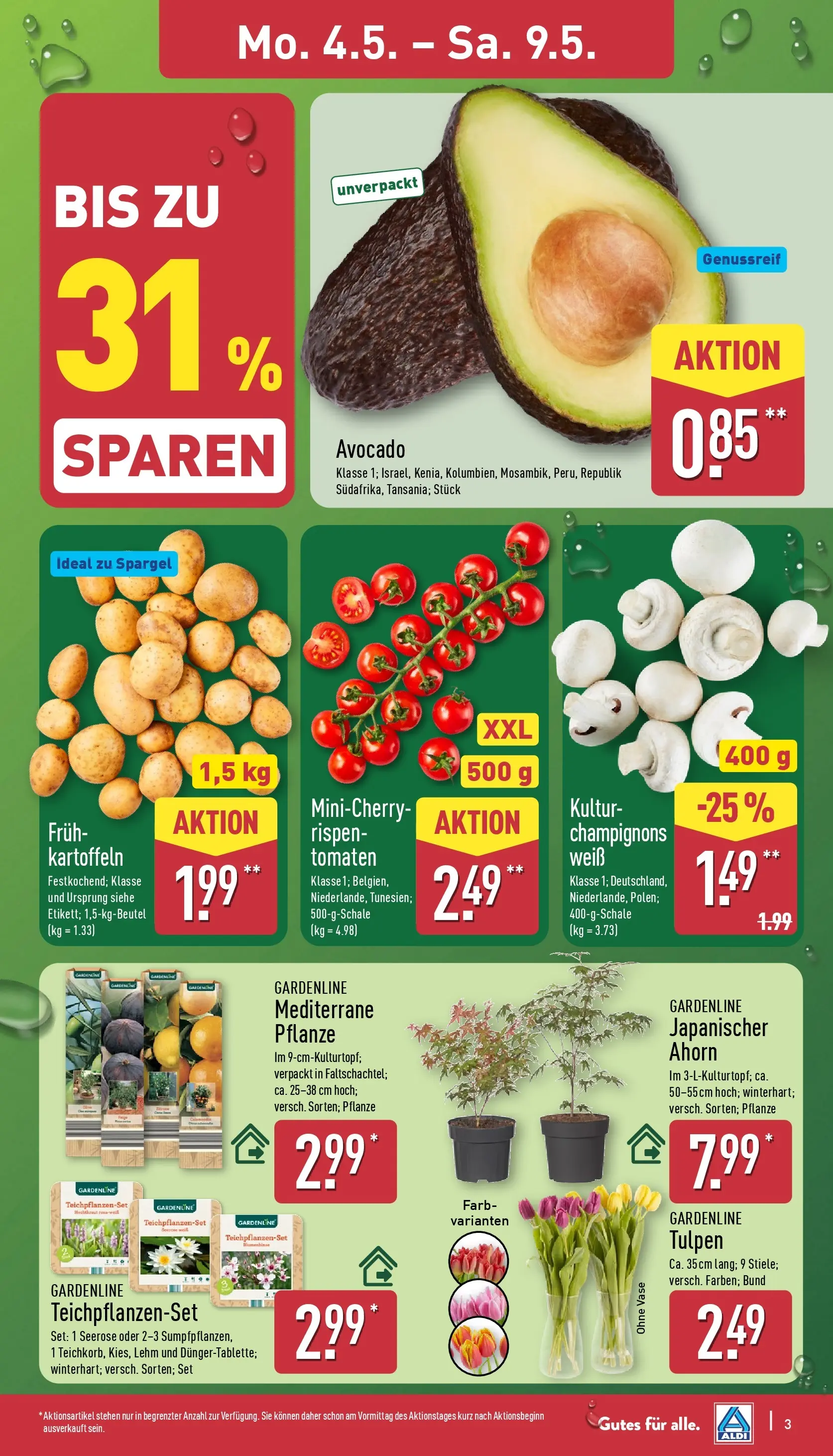Aldi Wochenangebote (ab 04.05.2026) » Angebote Online | Seite: 3 | Produkte: Vase, Spargel, Avocado, Champignons