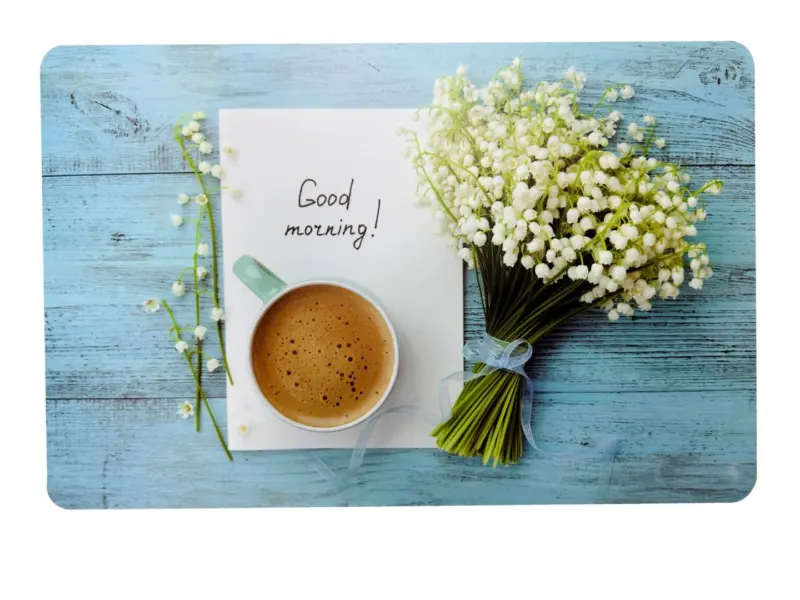 Подложка за сервиране 43 x 28 см