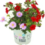 Kaufland хипермаркет Градински микс - до 03-05-26