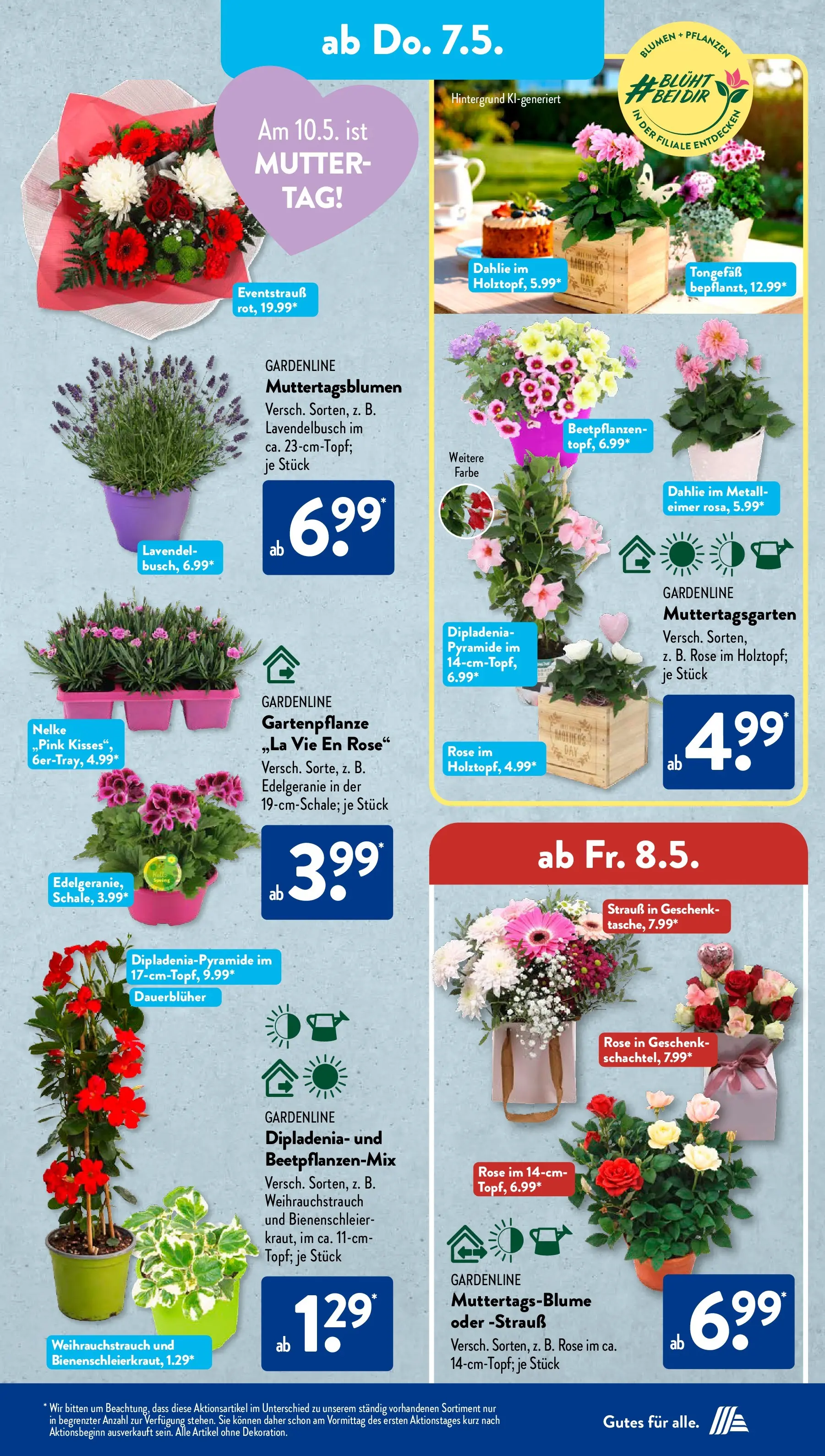 Aldi Süd - Aldi Süd: Wochenangebote (ab 03.05.2026) zum Blättern | Seite: 21 | Produkte: Blumen, Lavendel