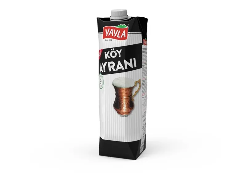 K&ouml;y Saurer Ayran nach Anatolischer Art