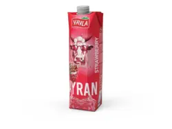 Mootastic Ayran mit Erdbeere Geschmack