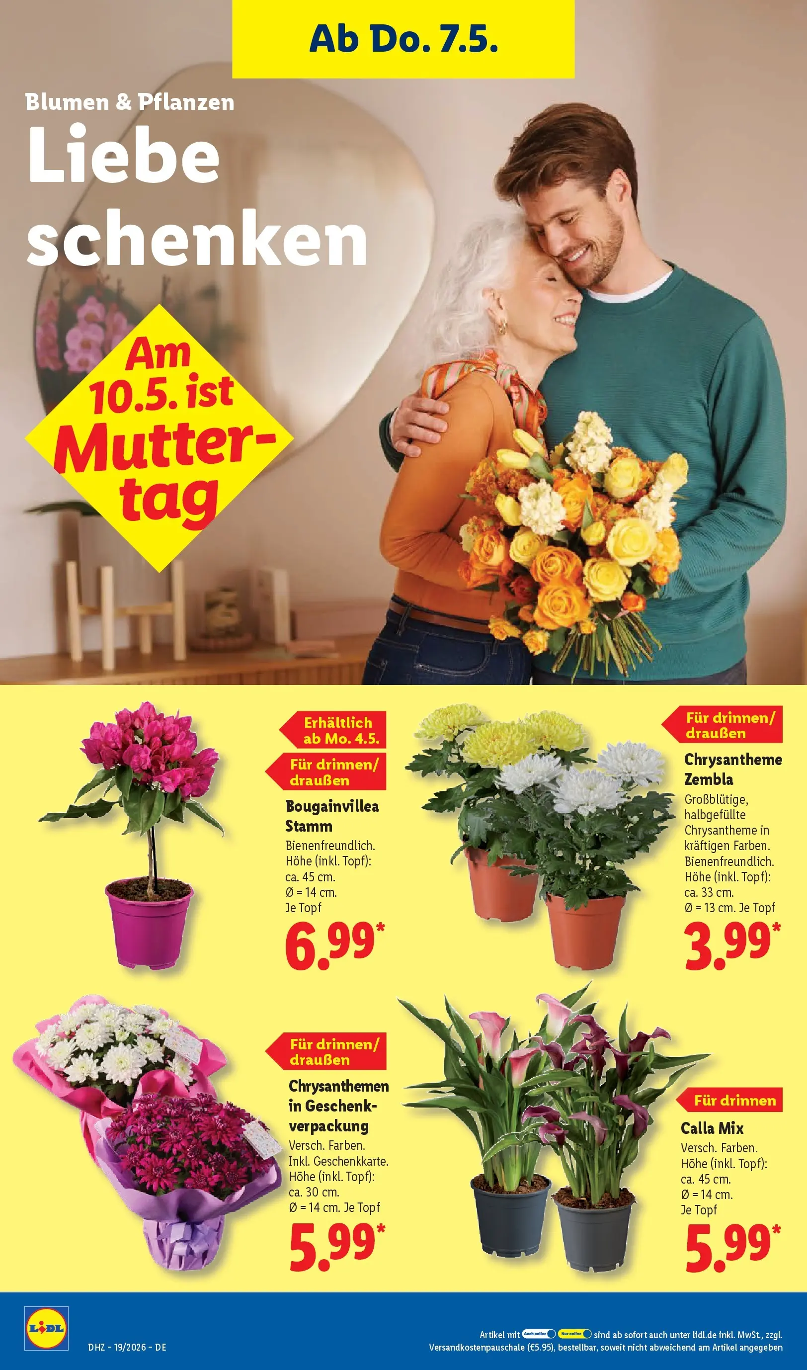 Lidl Prospekt Emlichheim (ab 04.05.2026) zum Blättern » Angebote | Seite: 16 | Produkte: Blumen