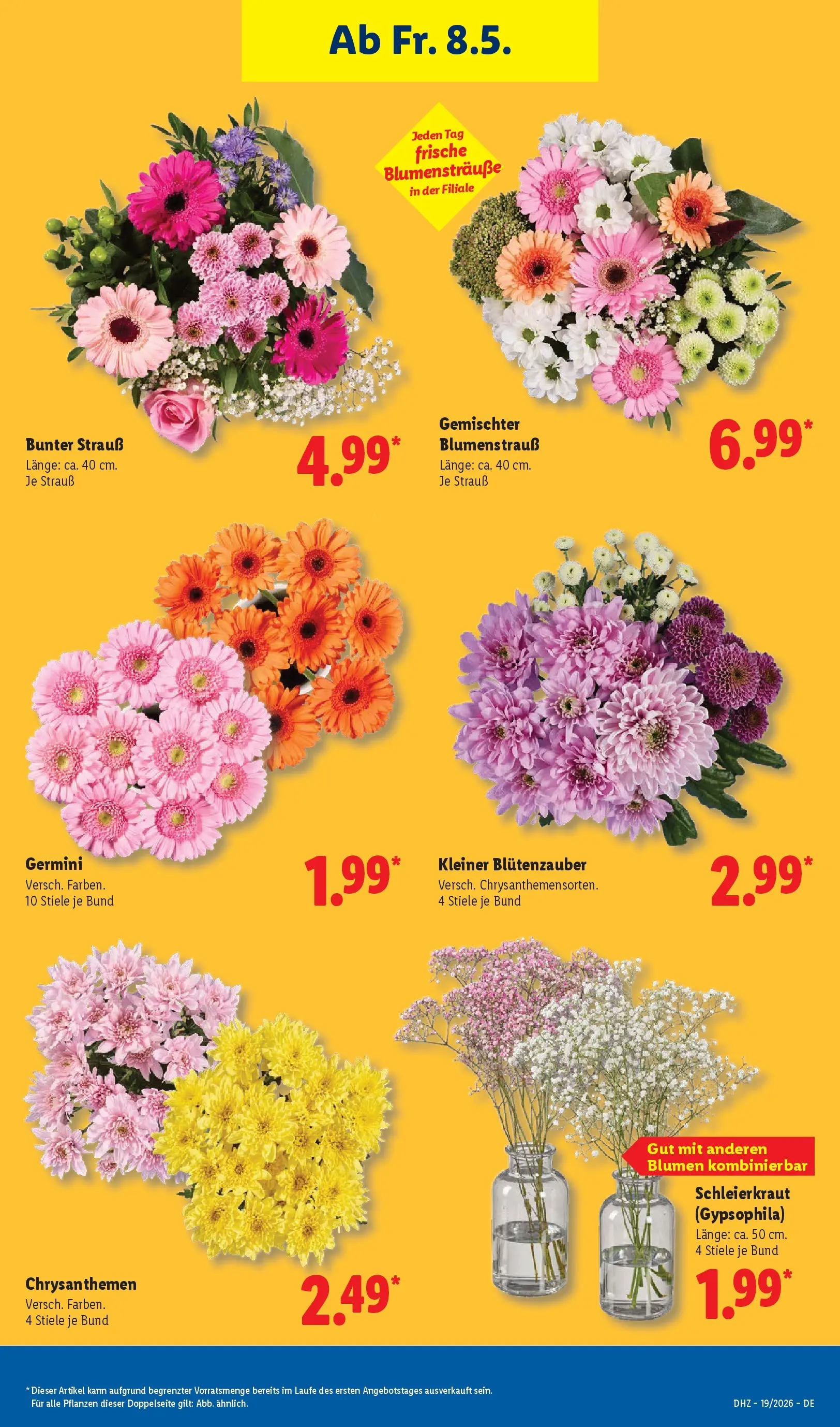 Lidl Prospekt Emlichheim (ab 04.05.2026) zum Blättern » Angebote | Seite: 17 | Produkte: Blumen