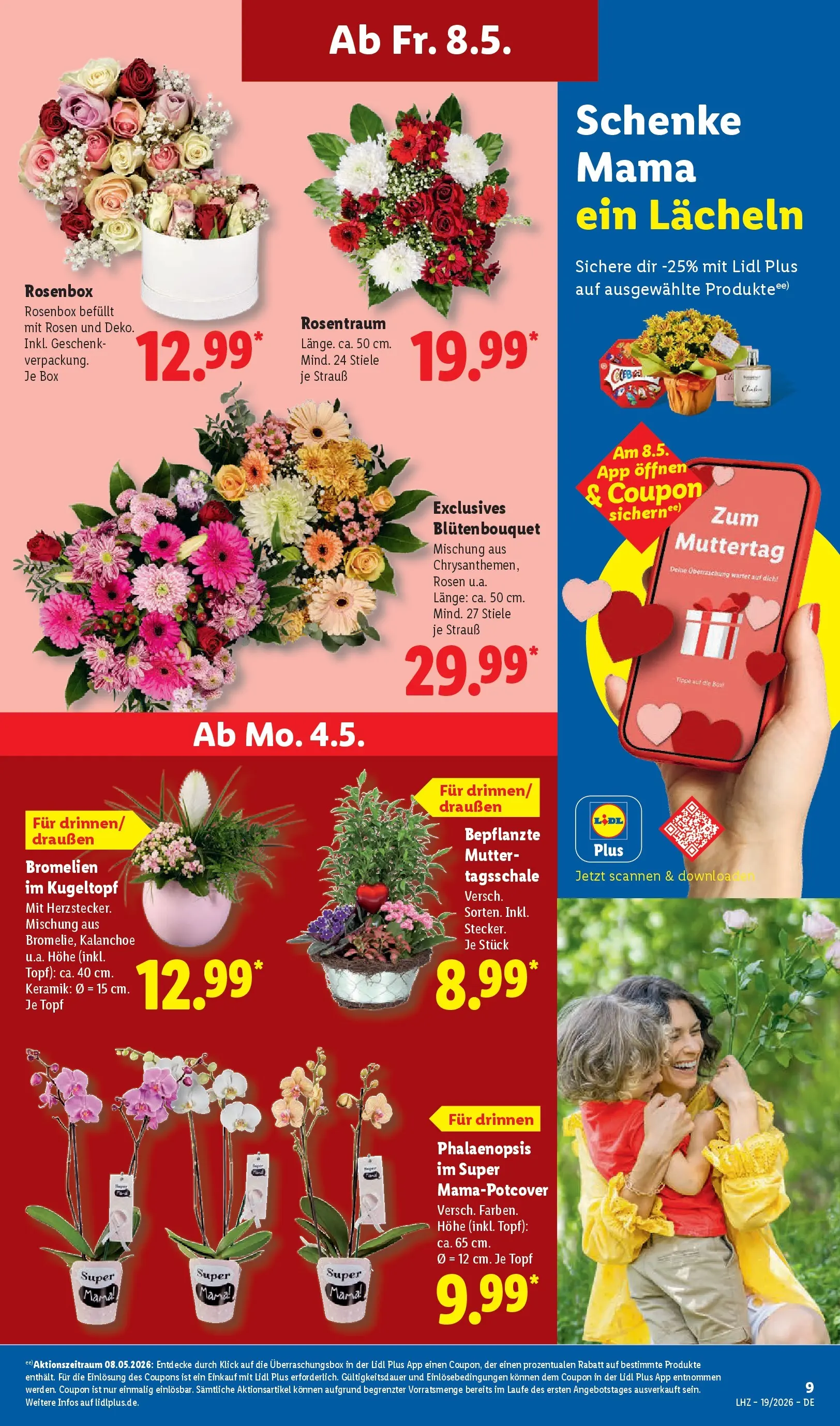 Lidl Prospekt Emlichheim (ab 04.05.2026) zum Blättern » Angebote | Seite: 19 | Produkte: Box