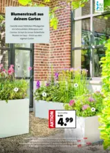 Blumen Ostmann - Verschenke ein L&auml;cheln