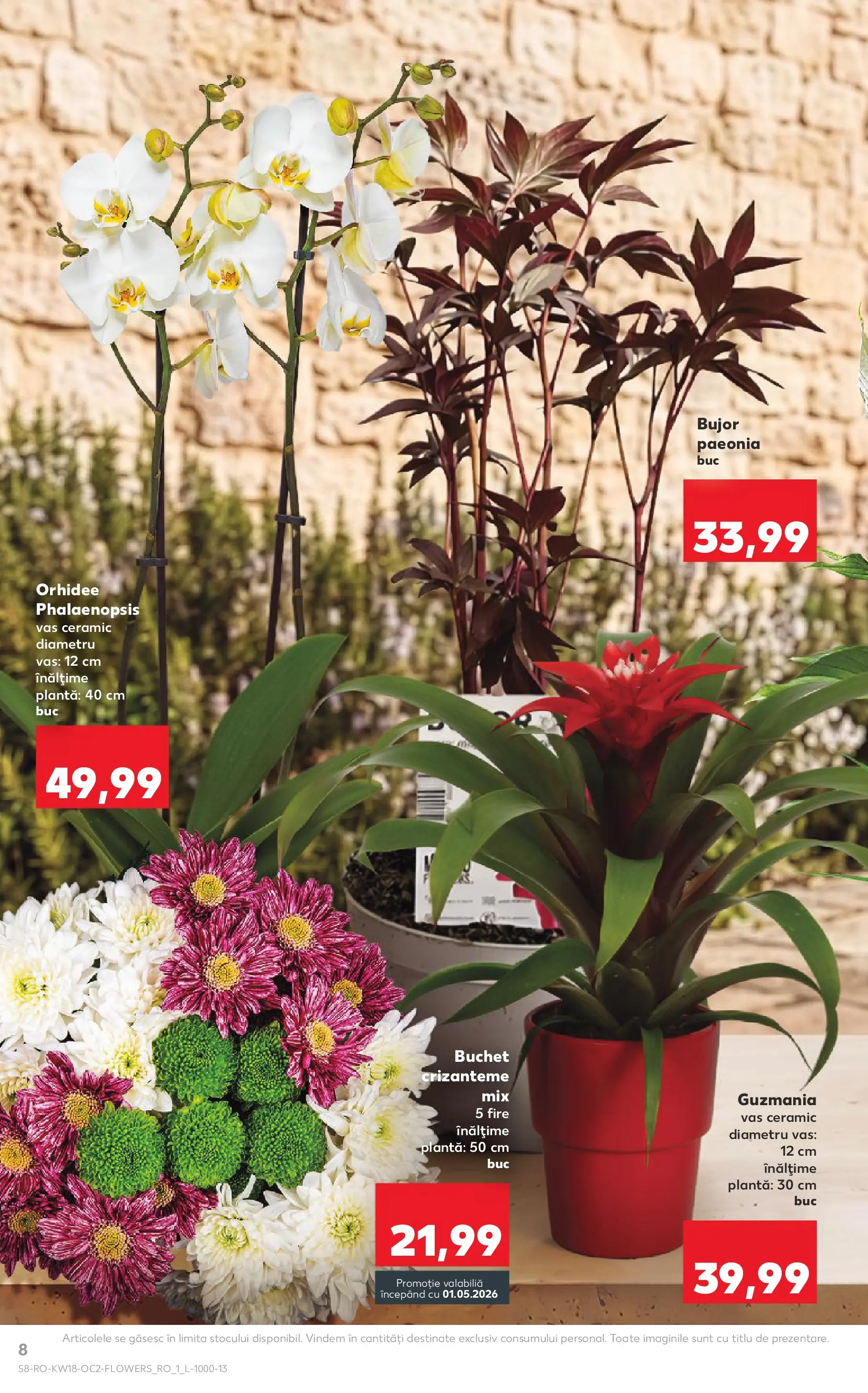 Kaufland Satu Mare 29.04.2026 - Revista si Oferta | Pagină: 8 | Produse: Orhidee