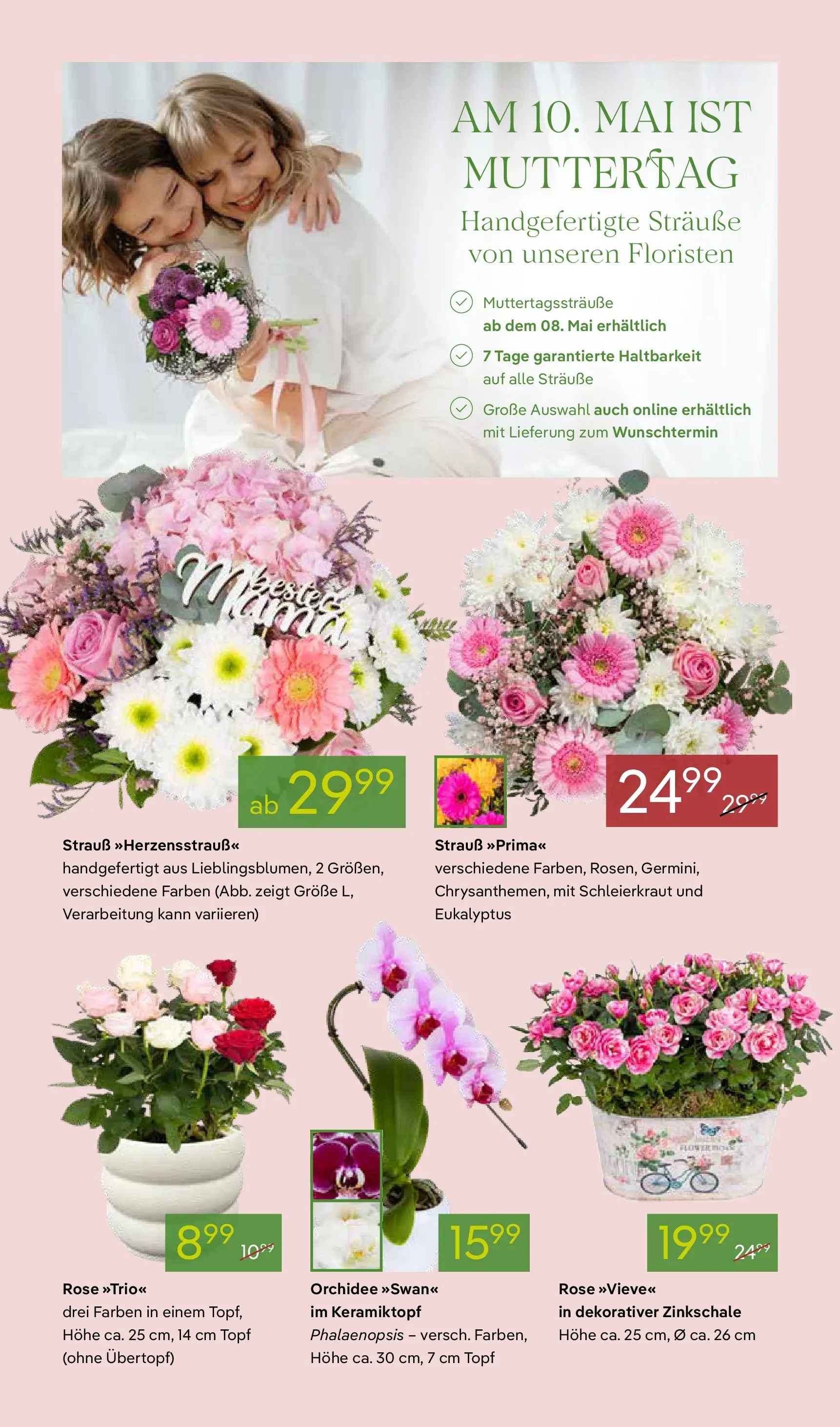 Pflanzen-Kölle - Pflanzen-Kölle: Muttertag (ab 03.05.2026) zum Blättern | Seite: 2 | Produkte: Orchidee