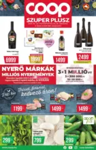 Coop: Sz&eacute;les v&aacute;laszt&eacute;k az aj&aacute;nlatokb&oacute;l - 2026.05.06 napig