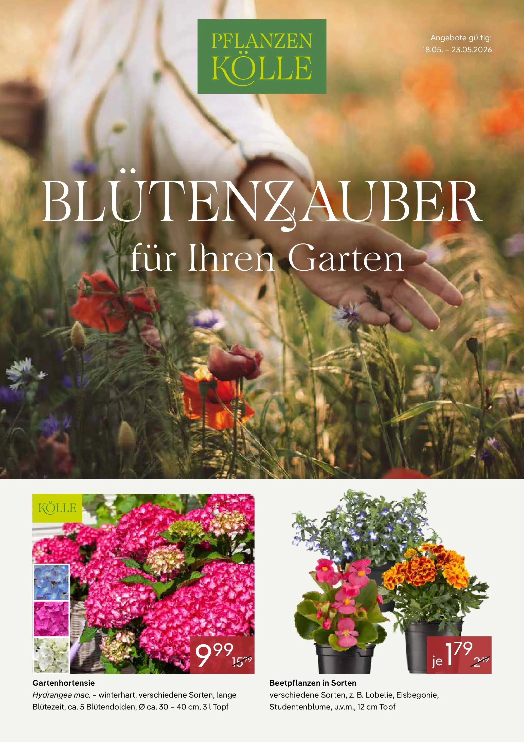 Pflanzen-Kölle Blütenzauber für Ihren Garten (ab 18.05.2026) zum Blättern | Seite: 1