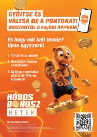 K&Eacute;SZ&Uuml;LJ&Ouml;N A NY&Aacute;RRA