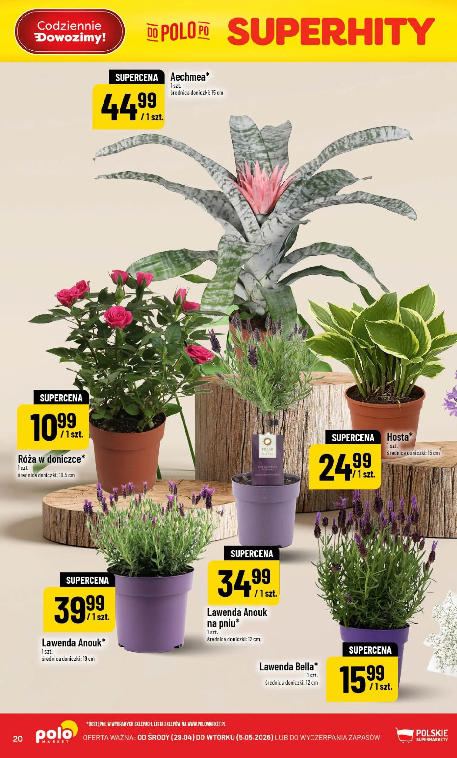 Nowa POLOmarket gazetka od jutra 29.04.2026 | Strona: 20 | Produkty: Doniczki