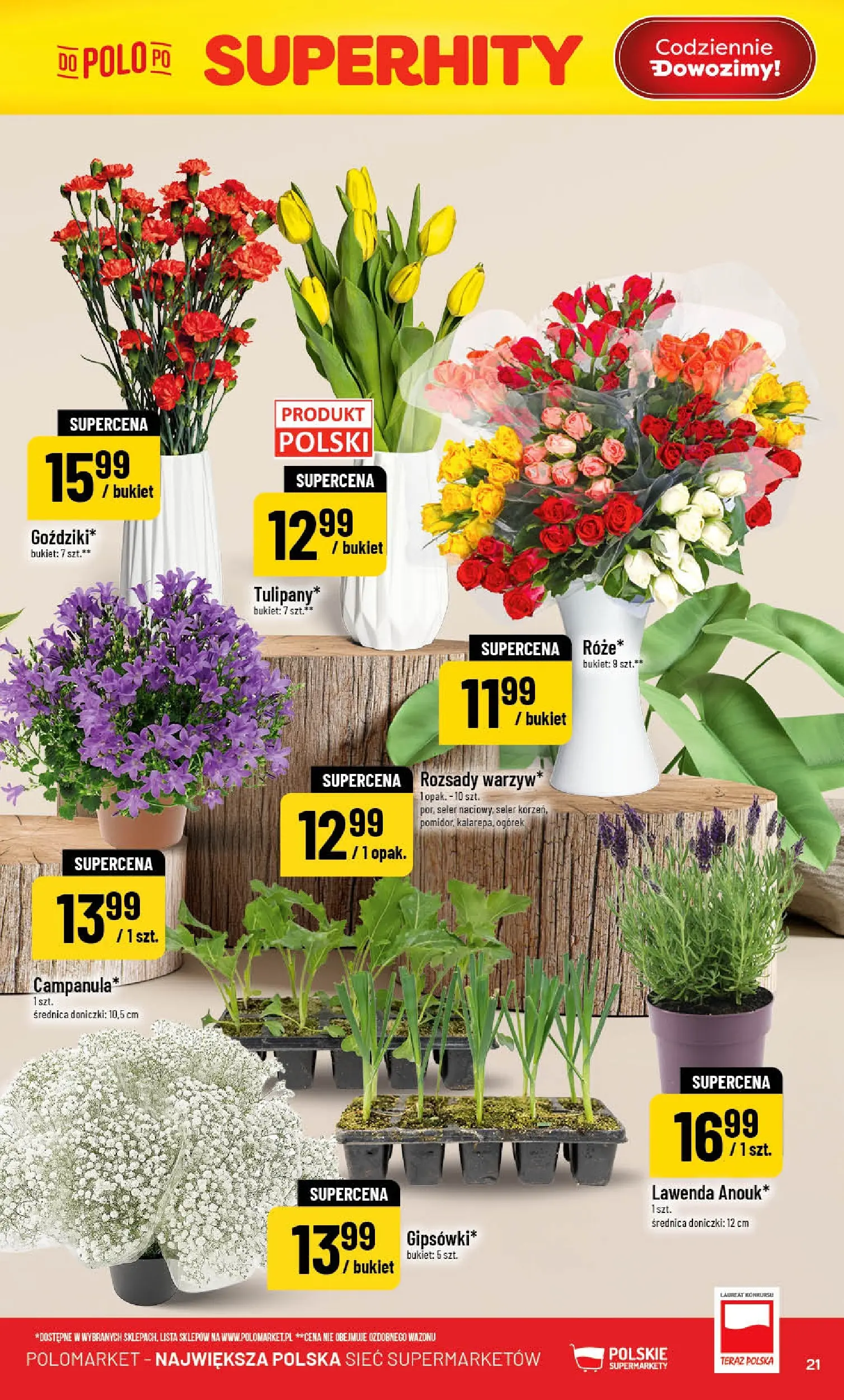 Nowa POLOmarket gazetka od jutra 29.04.2026 | Strona: 21 | Produkty: Doniczki