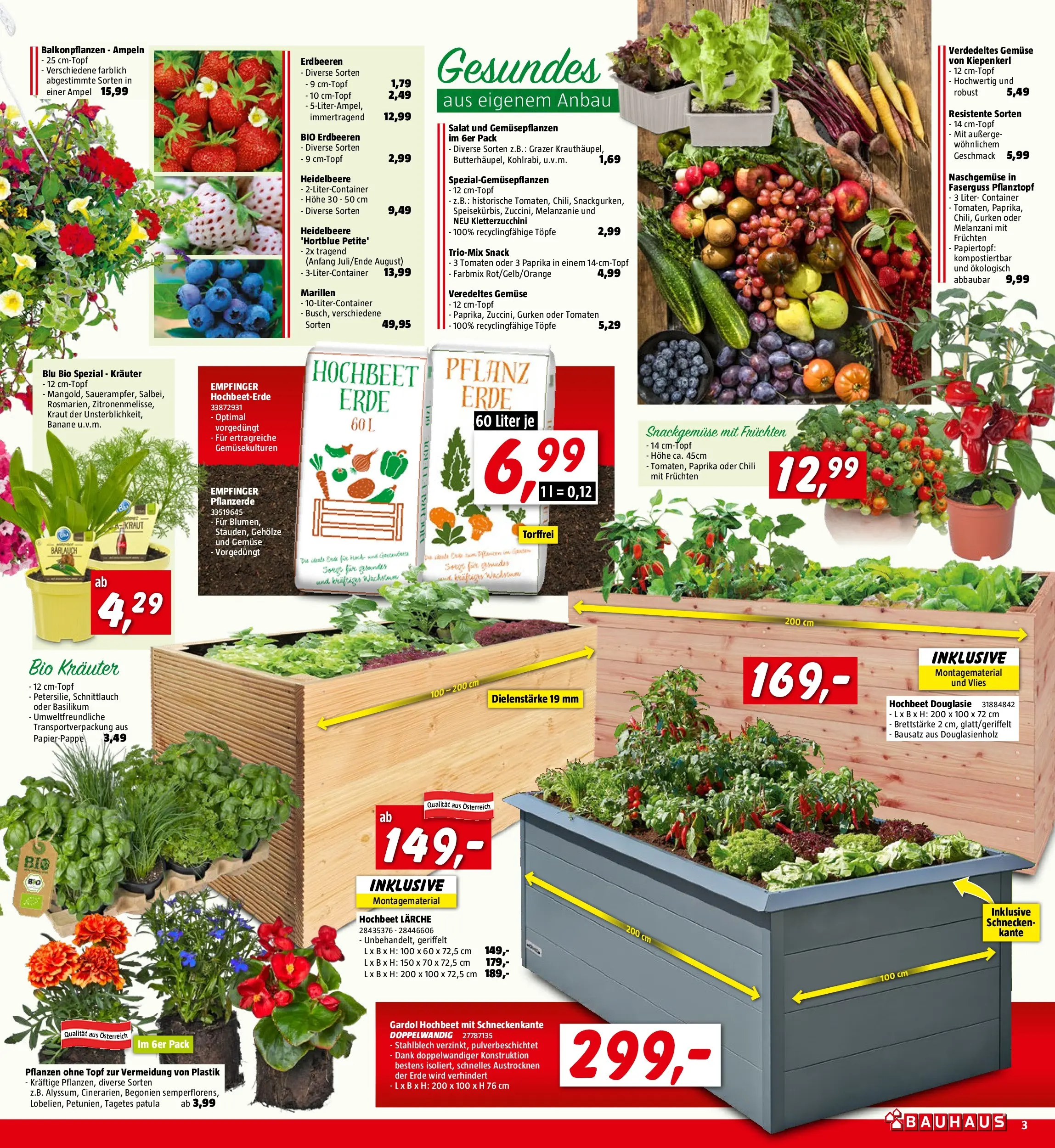 Bauhaus Pasching, Wels, Steyr von 29.04.2026 - Aktuelle Angebote | Seite: 3 | Produkte: Gurken, Salat, Chili, Kraut