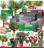 BAUHAUS Bregenz BAUHAUS: Flugblatt - bis 19.05.2026