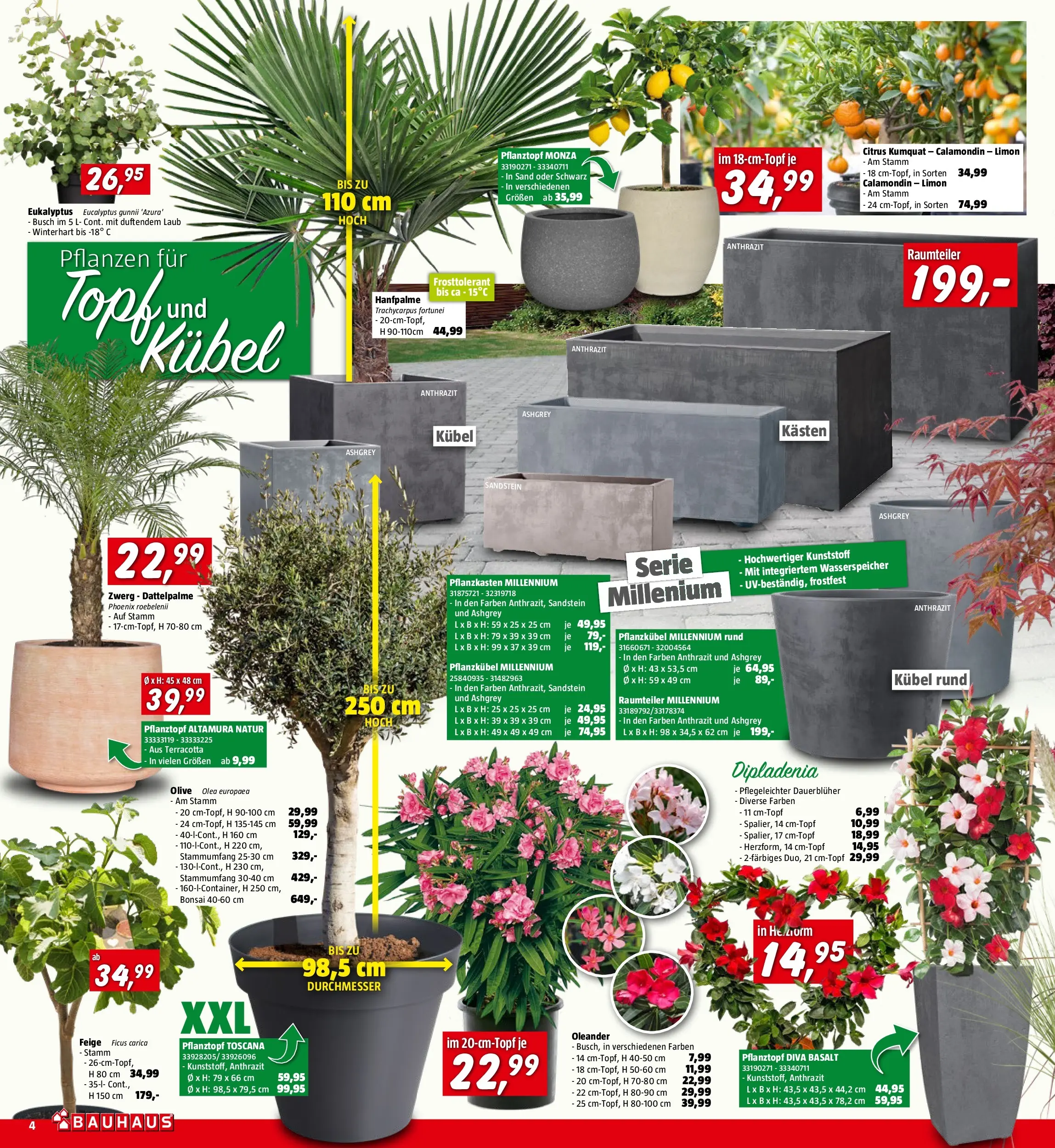 Bauhaus Pasching, Wels, Steyr von 29.04.2026 - Aktuelle Angebote | Seite: 4