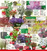 BAUHAUS Bregenz BAUHAUS: Flugblatt - bis 19.05.2026