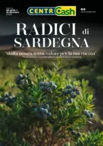 Centro Cash Radici di sardegna - al 31.12.2026