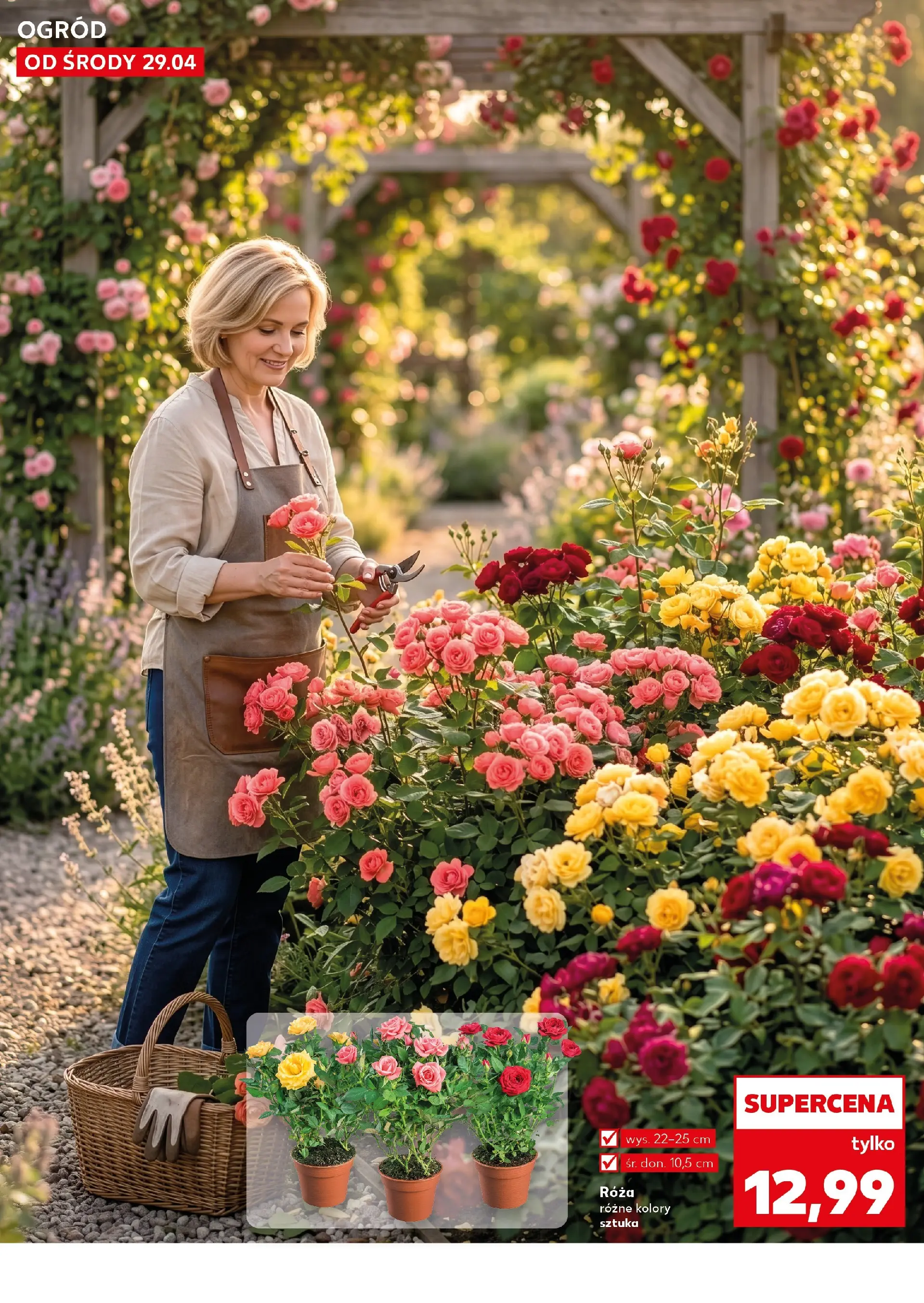 Kaufland gazetka - Ogród od 29.04.2026 - od jutra PDF | Strona: 10