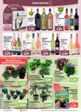 aktiv-irma Angebote 04.05.-08.05.2026